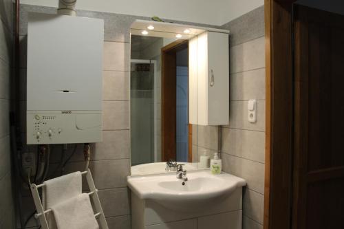 un baño con lavabo y espejo en Otto Apartment, en Harkány