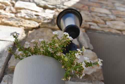 Φωτογραφία από το άλμπουμ του Loro House & Jacuzzi σε Posedarje