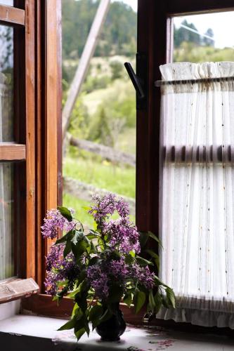 a vase of purple flowers sitting on a window sill at Apartment ''Planinsko selo'' in Zaovine