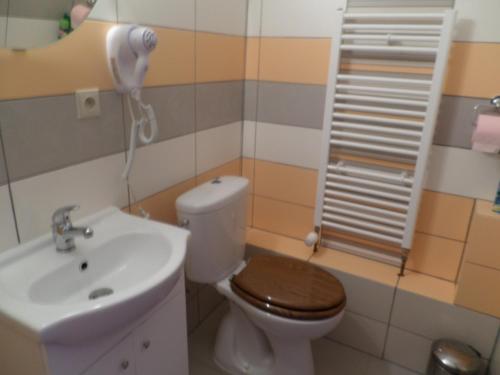 y baño con aseo y lavamanos. en Penzion v Budech, en Křivoklát