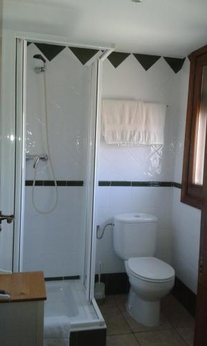 a bathroom with a white toilet and a shower at B&B Ra Tenaja in Castillazuelo