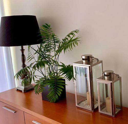 una mesa con dos linternas de cristal y una planta en ella en Yellow Five Apartment, en Ponta Delgada