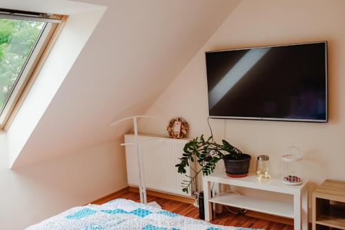TV a/nebo společenská místnost v ubytování Kamilla Apartman