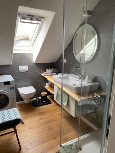La salle de bains est pourvue d'un lavabo, de toilettes et d'un miroir. dans l'établissement Ferienwohnung Grenzblick in Isselburg-Anholt, à Isselburg