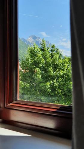a window with a view of a green tree at Apartma Bovec Center in Bovec