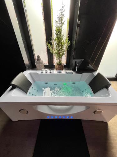 ein Bad mit einer Badewanne mit einer Pflanze in der Unterkunft L'heure de la détente Spa privatif in Beauraing