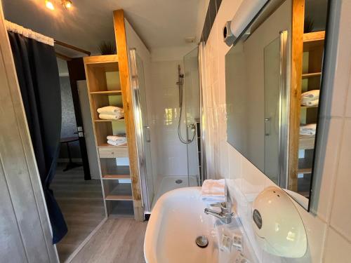 Koupelna v ubytování Hôtel des îles