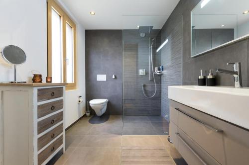 a bathroom with a toilet and a sink and a shower at Zer Treichi Appartements in Fiesch
