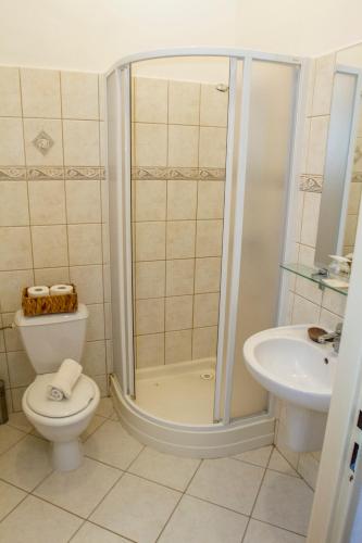 a bathroom with a shower and a toilet and a sink at Penzión Tücsök in Šamorín