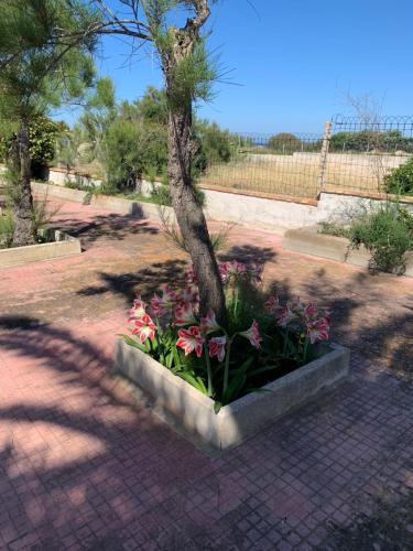 Zdjęcie z galerii obiektu Villa Torre Saracena w mieście Granitola