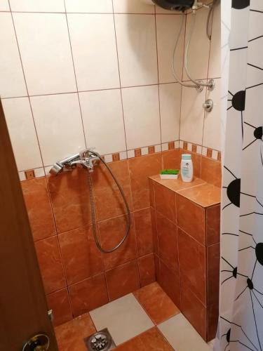 a bathroom with a shower with a shower head at Apartmani Ljumović Budva in Budva