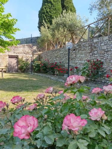 a bunch of pink roses in a garden at Residenza Messer Pajola in Assisi