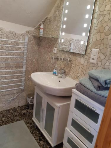 ein Bad mit einem Waschbecken und einem Spiegel in der Unterkunft Ferienwohnung Fritzer in Ellenz-Poltersdorf