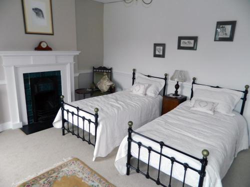 2 camas en un dormitorio con chimenea en Penralley House B&B en Rhayader