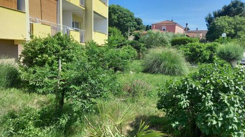 Κήπος έξω από το Apartment Sara - Cres