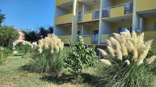 Κήπος έξω από το Apartment Sara - Cres