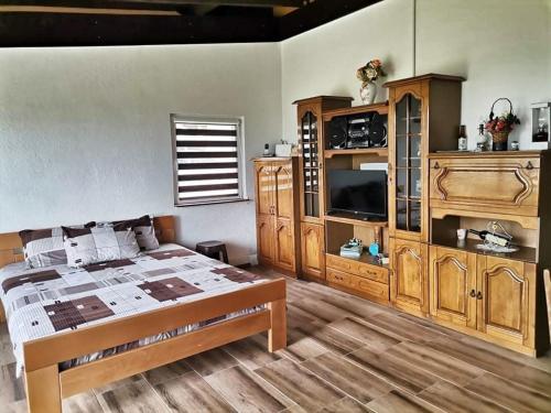 1 dormitorio con 1 cama grande y centro de entretenimiento en The Mountain House Doris, en Kruševo