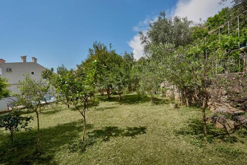 a garden with trees and a building in the background at Apartmani Kuća u maslinama in Sveti Stefan