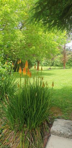 a garden with a bunch of flowers in a park at Chambre Maddy - Au Clos de Parranquet in Parranquet