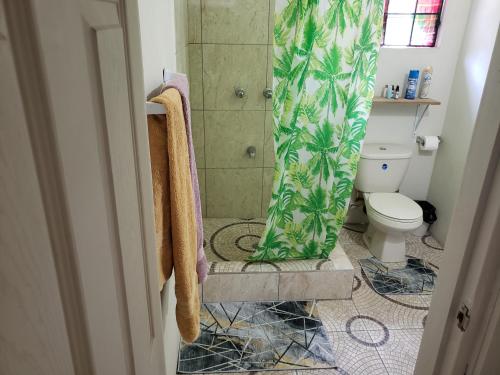 a bathroom with a shower curtain and a toilet at East Caribbean Lodging in Gros Islet