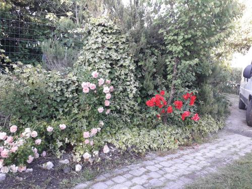 a hedge of roses and flowers in a garden at B&B Domo De Pedra in Tottubella