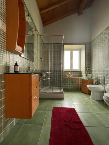 a bathroom with a shower and a sink and a toilet at A QUINTA DAS FLORES: Casa do Corvo in Santa Cruz das Flores
