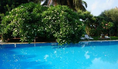 Πισίνα στο ή κοντά στο Villa Megna - Green Paradise B&B