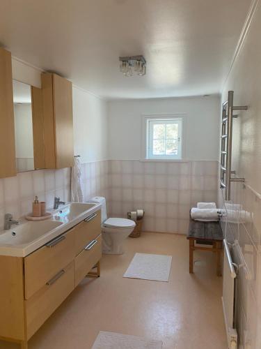 ein Bad mit einem Waschbecken und einem WC in der Unterkunft Smultronställe på idylliska Singö-Grisslehamn in Grisslehamn