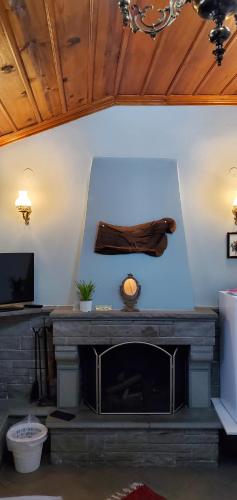a living room with a fireplace and a wooden ceiling at Papigo Astraka II in Papigko