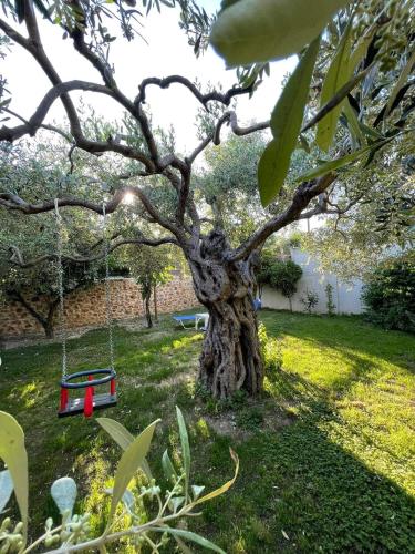 Κήπος έξω από το Villa Aggeliki