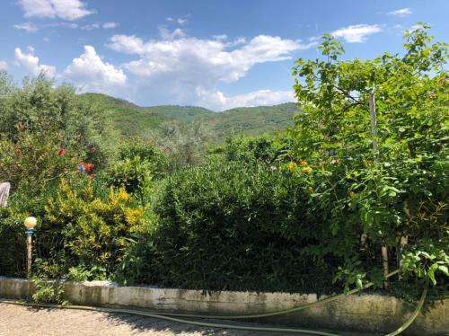 un jardín con una manguera en Villa Mukaj, en Fratar