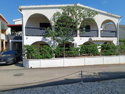 a white building with a tree in front of it at Apartments Branka- 4 apartments in house- 1 apartment has jacuzzi in Vir