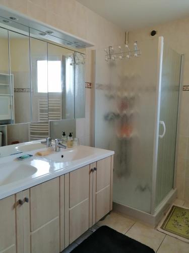 une salle de bain avec une douche, un lavabo et un miroir dans l'établissement Grande maison de ville avec cheminée et loggia, à Lacapelle-Biron