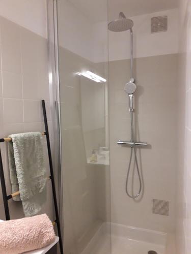 La salle de bains est pourvue d'une douche avec une porte en verre. dans l'établissement iSABELLE, à Vannes