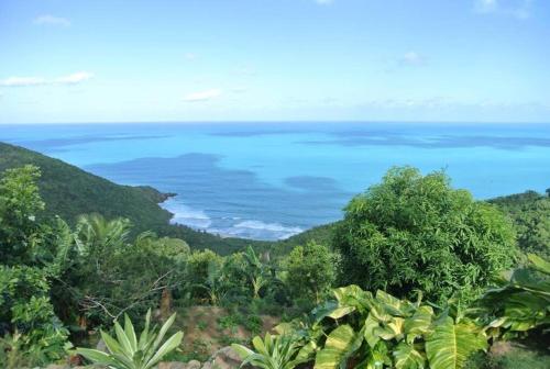 a view of the ocean from a mountain at Traditional West Indian cottage on Good Moon Farm in Great Mountain