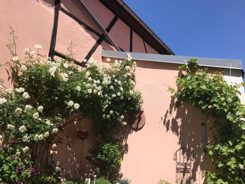 two flower baskets on the side of a building at Haus am Markt in Königstein in der Oberpfalz
