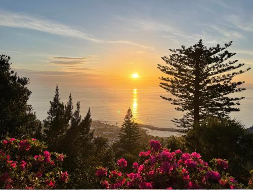 um pôr-do-sol sobre o oceano com árvores e flores cor-de-rosa em A QUINTA DAS FLORES- Casa do Miradouro em Santa Cruz das Flores