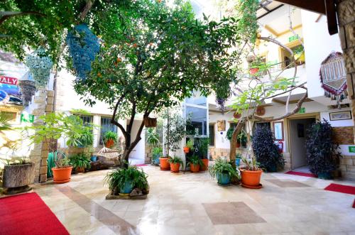 Сад в Sevin Hotel Pension