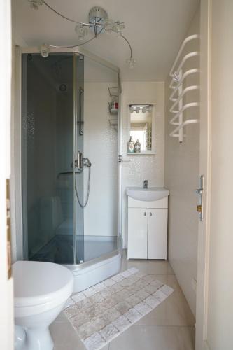 a bathroom with a shower and a toilet and a sink at Kulautuva Park Apartments in Kulautuva
