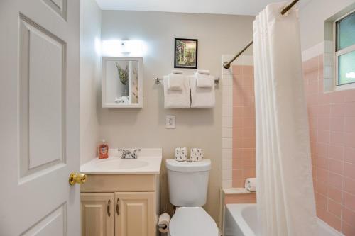 a bathroom with a toilet and a sink and a shower at Tropic Dream in Key West