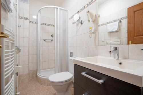 a bathroom with a toilet and a sink and a shower at Penzion Balcony in Český Krumlov