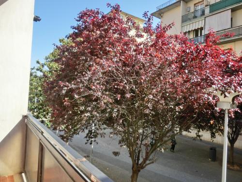 a tree with red flowers on the side of a building at Casa di Giada appartamento luminoso a due passi dalla tramvia per Firenze in Scandicci