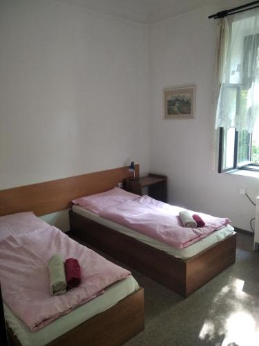 two twin beds in a room with a window at Penzion U Jezu Dobronice in Dobronice