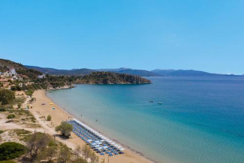 a beach with a bunch of boats in the water at Hotel Solon in Tolo