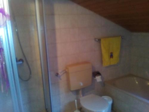 een badkamer met een toilet en een bad bij Haus Alpenblick in Zenting