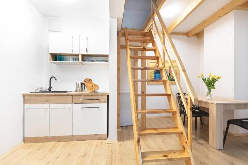 Kuchyňa alebo kuchynka v ubytovaní Apartamenty u Nosa