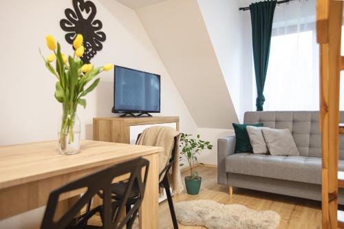 Televízia a/alebo spoločenská miestnosť v ubytovaní Apartamenty u Nosa