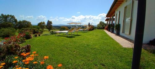 Gallery image of B&B Andrieddu in Telti
