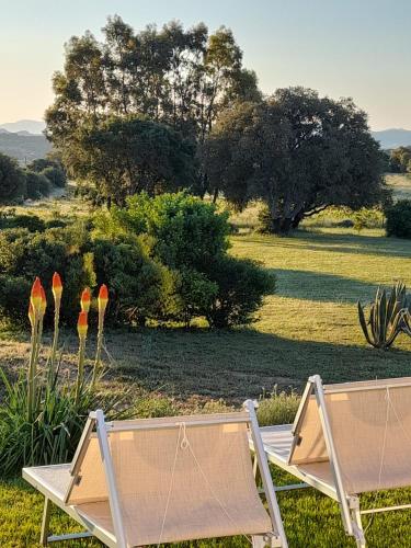Gallery image of B&B Andrieddu in Telti