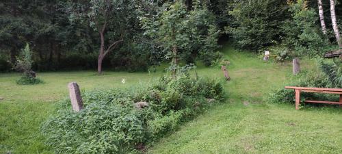 Taman di luar Bukovská chaloupka